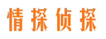 公主岭市调查公司